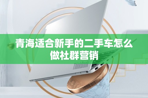 青海适合新手的二手车怎么做社群营销
