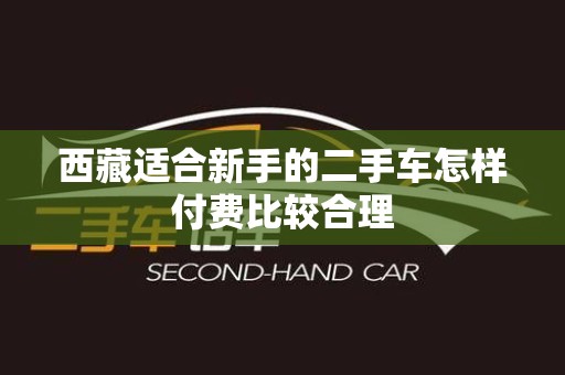 西藏适合新手的二手车怎样付费比较合理