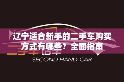 辽宁适合新手的二手车购买方式有哪些？全面指南