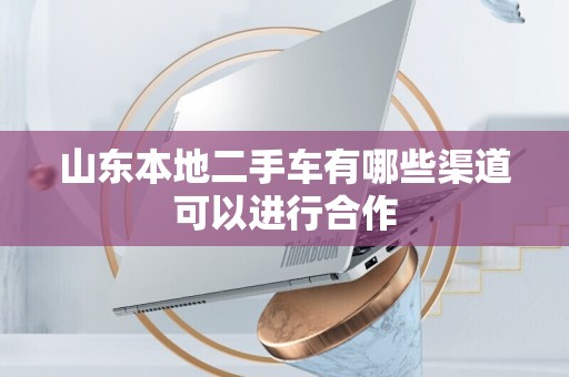 山东本地二手车有哪些渠道可以进行合作