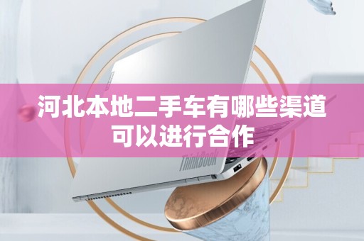 河北本地二手车有哪些渠道可以进行合作