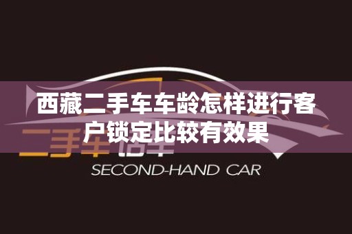 西藏二手车车龄怎样进行客户锁定比较有效果