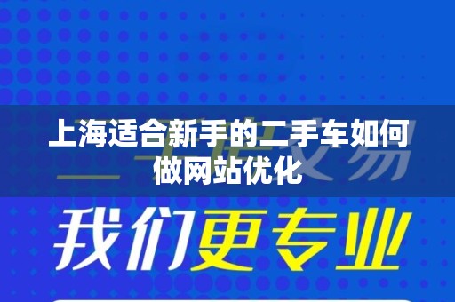 上海适合新手的二手车如何做网站优化