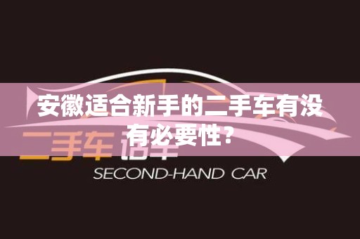 安徽适合新手的二手车有没有必要性？