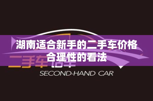 湖南适合新手的二手车价格合理性的看法