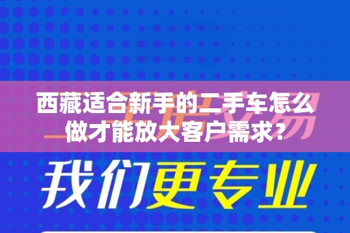 西藏适合新手的二手车怎么做才能放大客户需求？