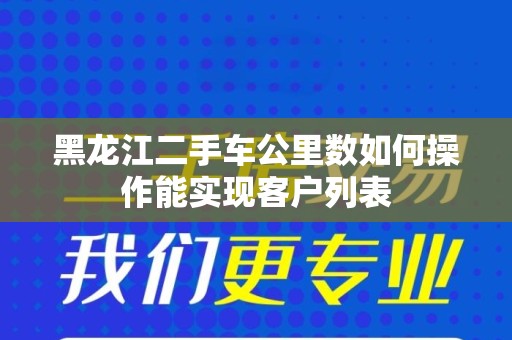 黑龙江二手车公里数如何操作能实现客户列表