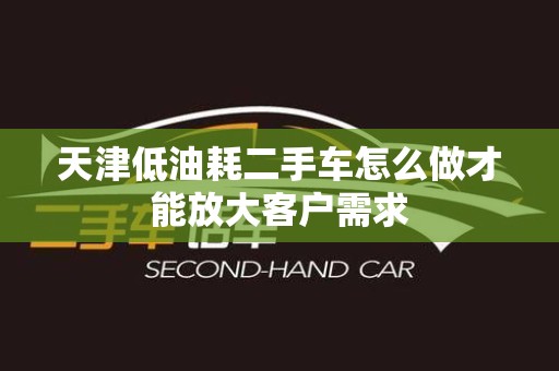 天津低油耗二手车怎么做才能放大客户需求