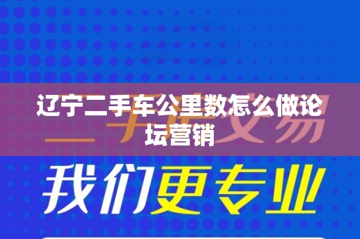 辽宁二手车公里数怎么做论坛营销