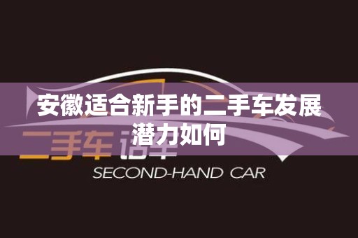 安徽适合新手的二手车发展潜力如何