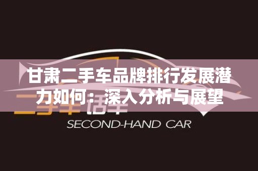 甘肃二手车品牌排行发展潜力如何：深入分析与展望