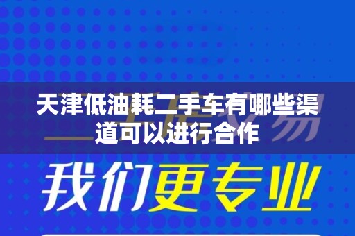 天津低油耗二手车有哪些渠道可以进行合作