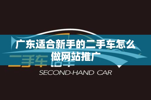 广东适合新手的二手车怎么做网站推广