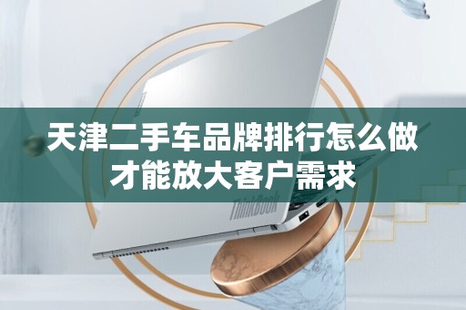 天津二手车品牌排行怎么做才能放大客户需求