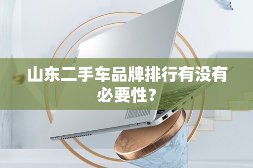 山东二手车品牌排行有没有必要性？