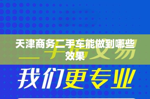 天津商务二手车能做到哪些效果
