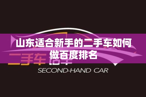 山东适合新手的二手车如何做百度排名
