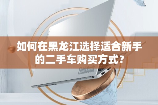 如何在黑龙江选择适合新手的二手车购买方式？