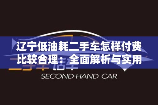 辽宁低油耗二手车怎样付费比较合理：全面解析与实用建议