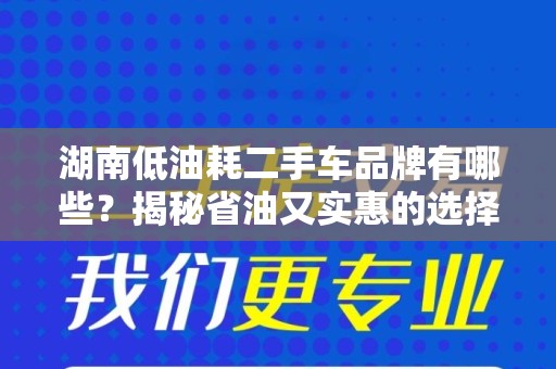 湖南低油耗二手车品牌有哪些？揭秘省油又实惠的选择