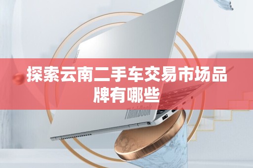 探索云南二手车交易市场品牌有哪些