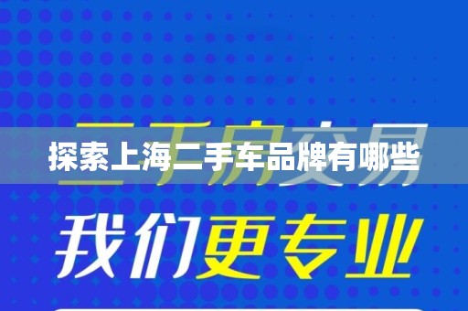 探索上海二手车品牌有哪些