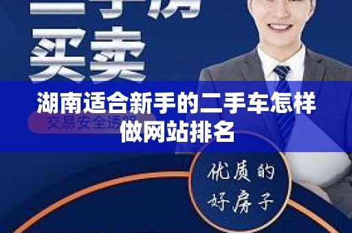 湖南适合新手的二手车怎样做网站排名