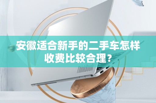 安徽适合新手的二手车怎样收费比较合理？
