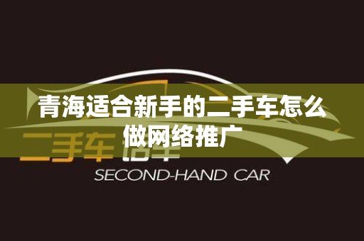 青海适合新手的二手车怎么做网络推广