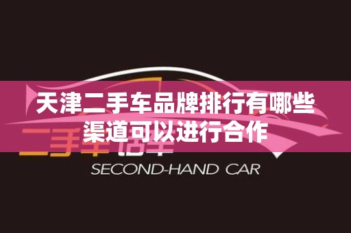 天津二手车品牌排行有哪些渠道可以进行合作