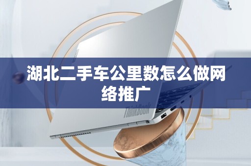湖北二手车公里数怎么做网络推广