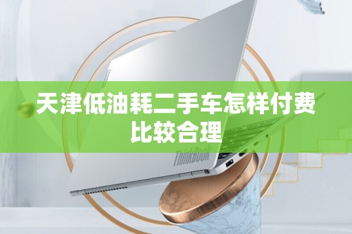 天津低油耗二手车怎样付费比较合理
