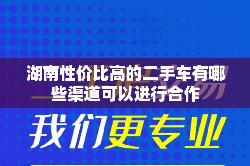 湖南性价比高的二手车有哪些渠道可以进行合作