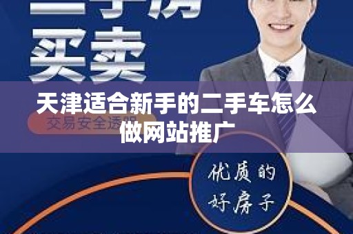 天津适合新手的二手车怎么做网站推广