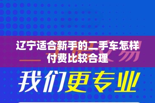 辽宁适合新手的二手车怎样付费比较合理