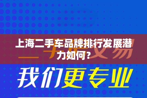 上海二手车品牌排行发展潜力如何？
