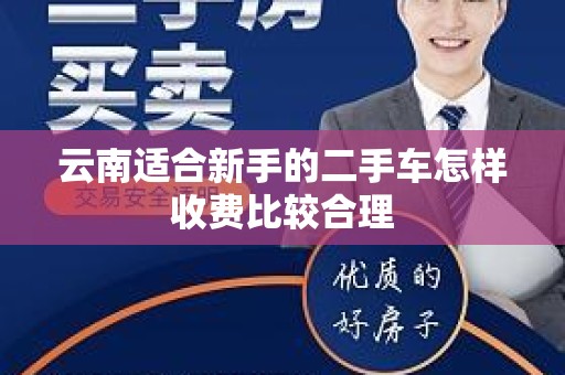 云南适合新手的二手车怎样收费比较合理