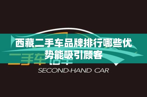 西藏二手车品牌排行哪些优势能吸引顾客