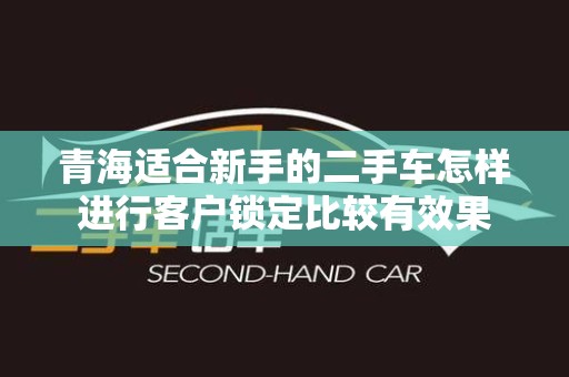 青海适合新手的二手车怎样进行客户锁定比较有效果