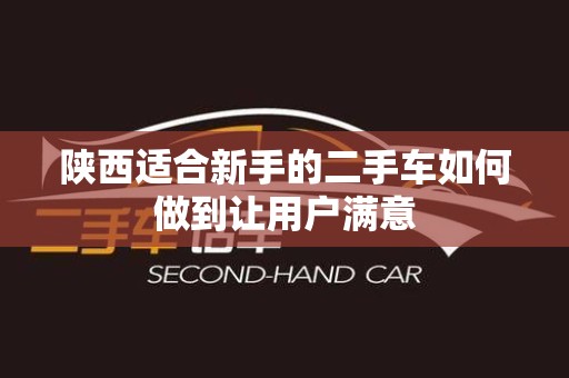 陕西适合新手的二手车如何做到让用户满意