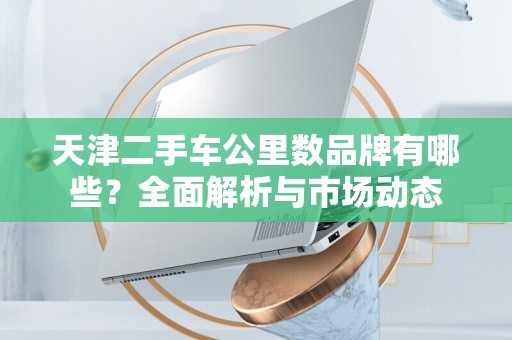 天津二手车公里数品牌有哪些？全面解析与市场动态