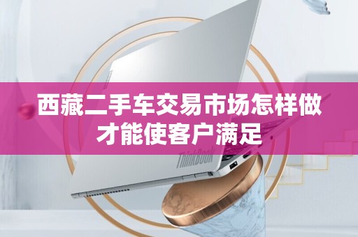 西藏二手车交易市场怎样做才能使客户满足