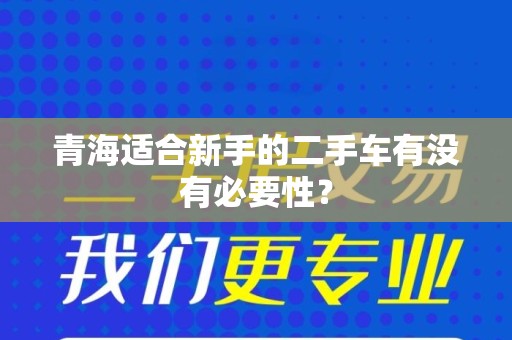 青海适合新手的二手车有没有必要性？