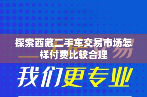 探索西藏二手车交易市场怎样付费比较合理