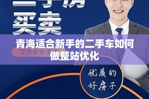 青海适合新手的二手车如何做整站优化