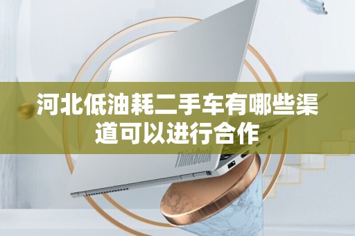 河北低油耗二手车有哪些渠道可以进行合作