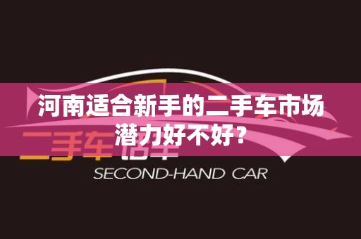 河南适合新手的二手车市场潜力好不好？