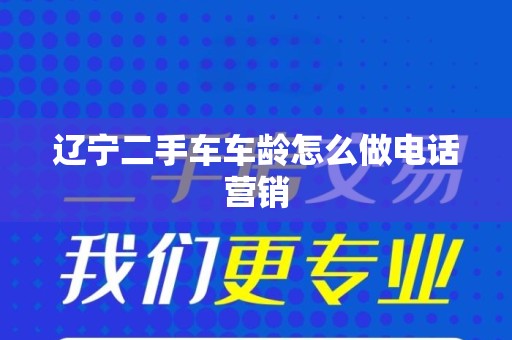 辽宁二手车车龄怎么做电话营销