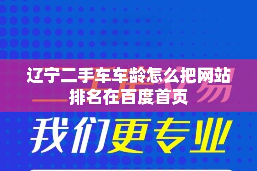 辽宁二手车车龄怎么把网站排名在百度首页