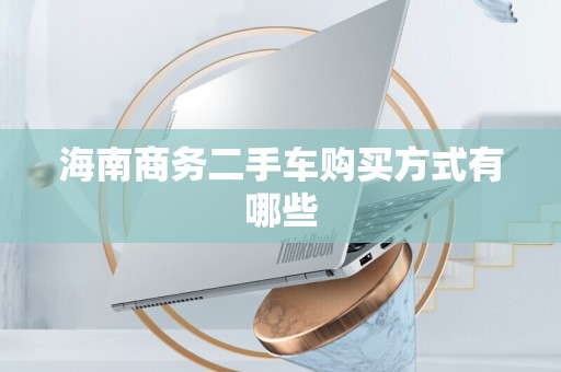 海南商务二手车购买方式有哪些